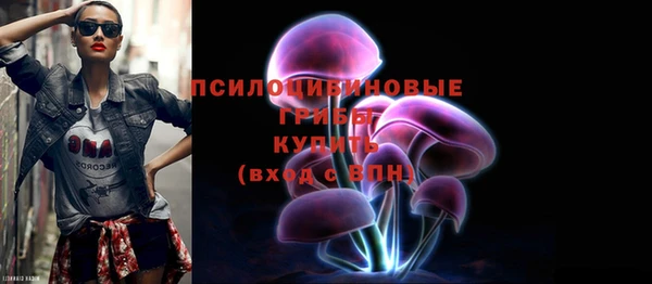Альфа ПВП Карпинск
