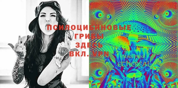 бошки Козельск