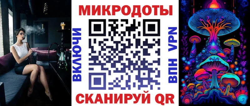 Галлюциногенные грибы Psilocybe Георгиевск