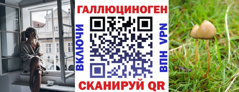 Галлюциногенные грибы MAGIC MUSHROOMS  Георгиевск 